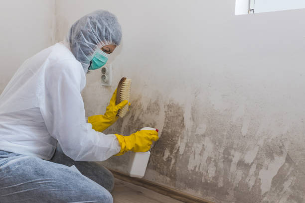 Best Crawl Space Mold Removal  in Dallas, OR