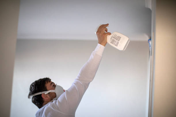 Best Crawl Space Mold Removal  in Dallas, OR