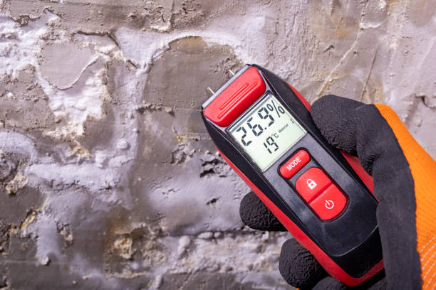 Best Certified Mold Removal  in Dallas, OR