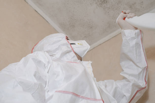Best Residential Mold Removal  in Dallas, OR