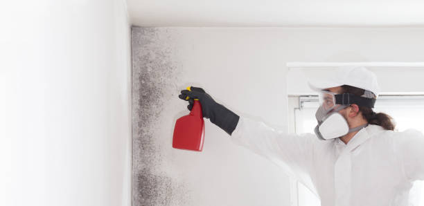 Best Professional Mold Removal  in Dallas, OR