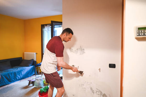 Trusted Dallas, OR Mold Removal Experts