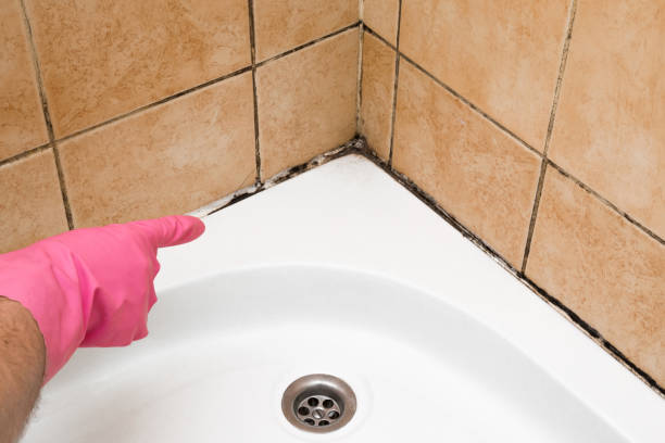 Best Office Mold Removal Services  in Dallas, OR